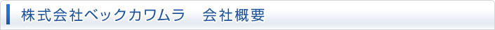 株式会社ベックカワムラ　会社概要